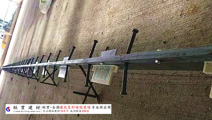 湖州市铠甲缝施工案例